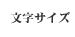 文字サイズ